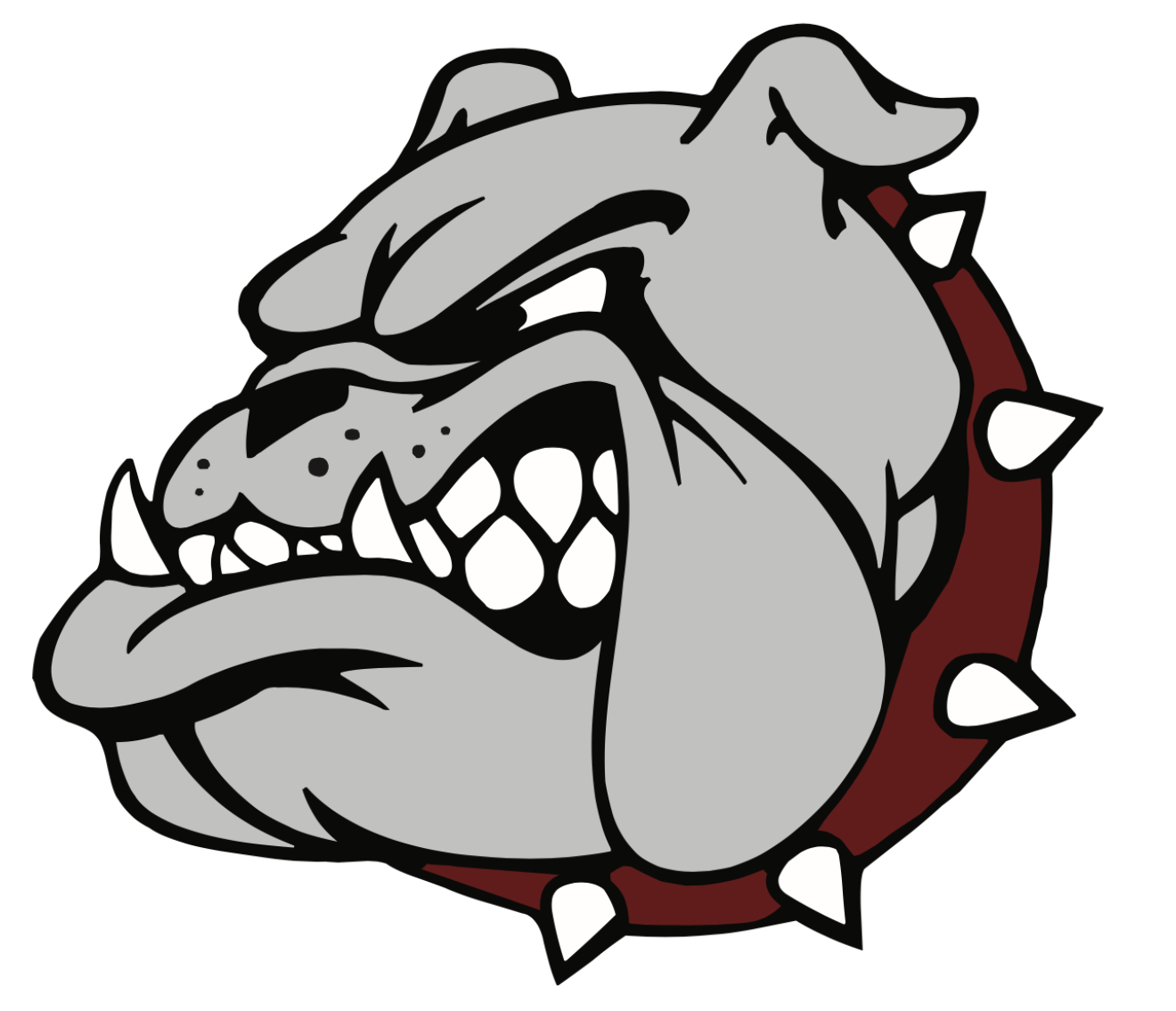 District Logo